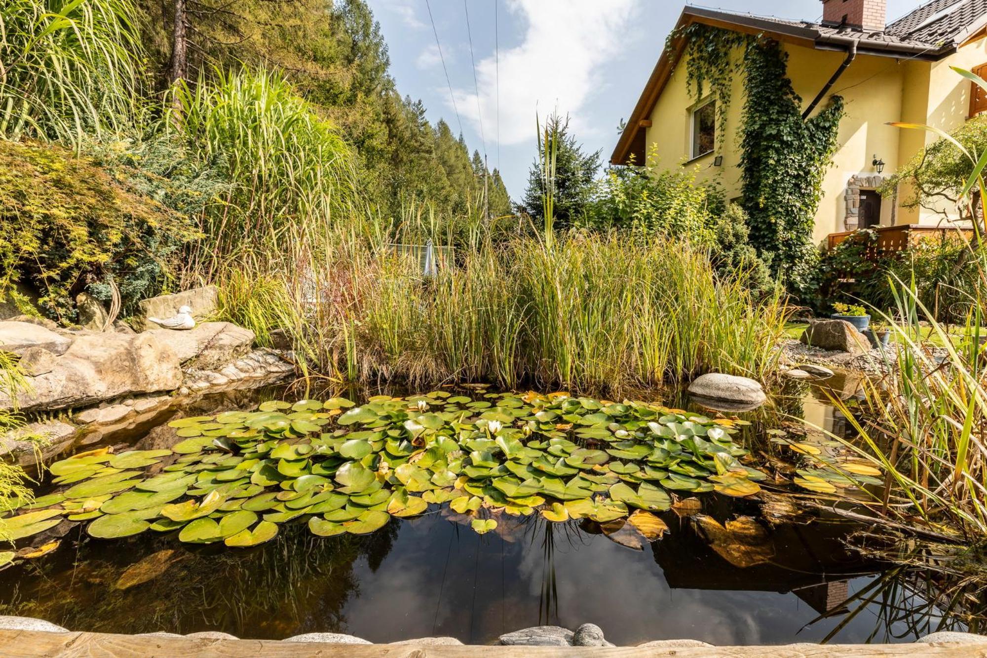 Apartamenty Zielona Owieczka Niedzica Zamek Exteriör bild
