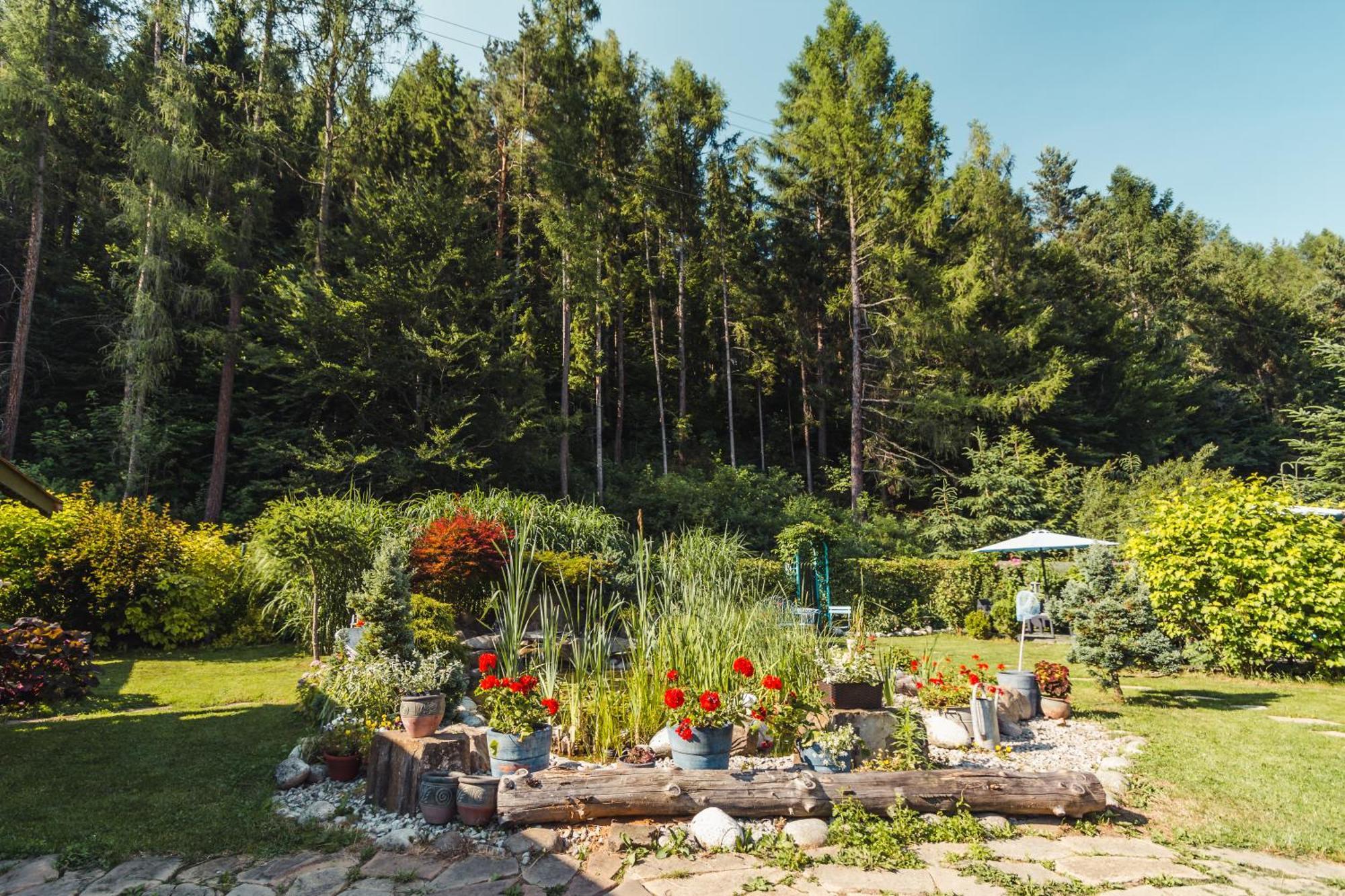 Apartamenty Zielona Owieczka Niedzica Zamek Exteriör bild