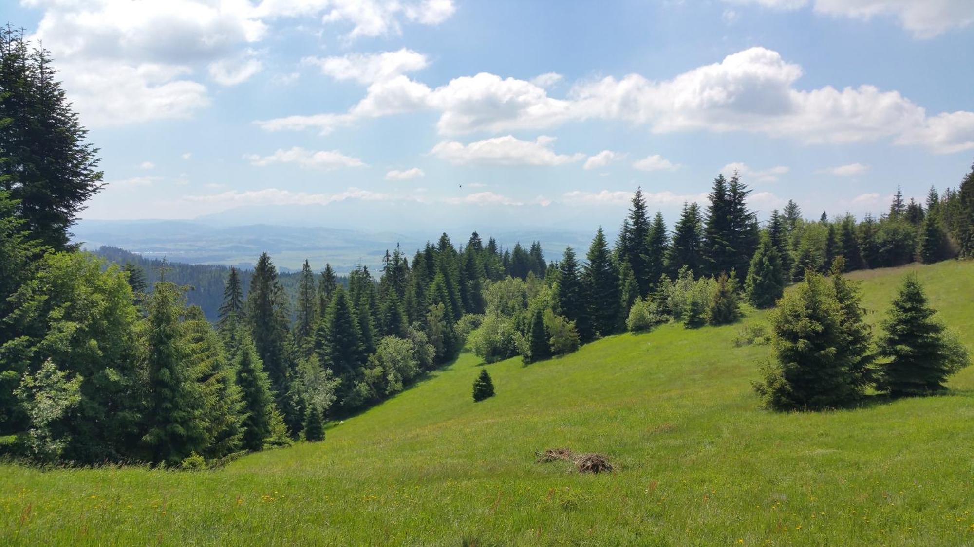 Apartamenty Zielona Owieczka Niedzica Zamek Exteriör bild